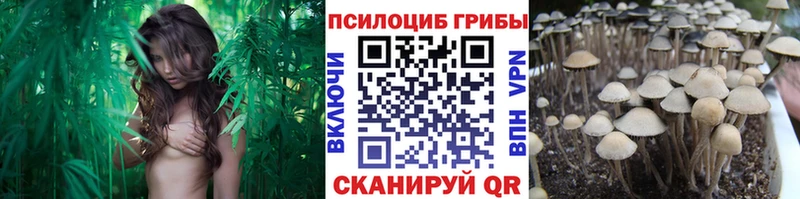 Псилоцибиновые грибы Psilocybine cubensis  Купить закладки  Карпинск 